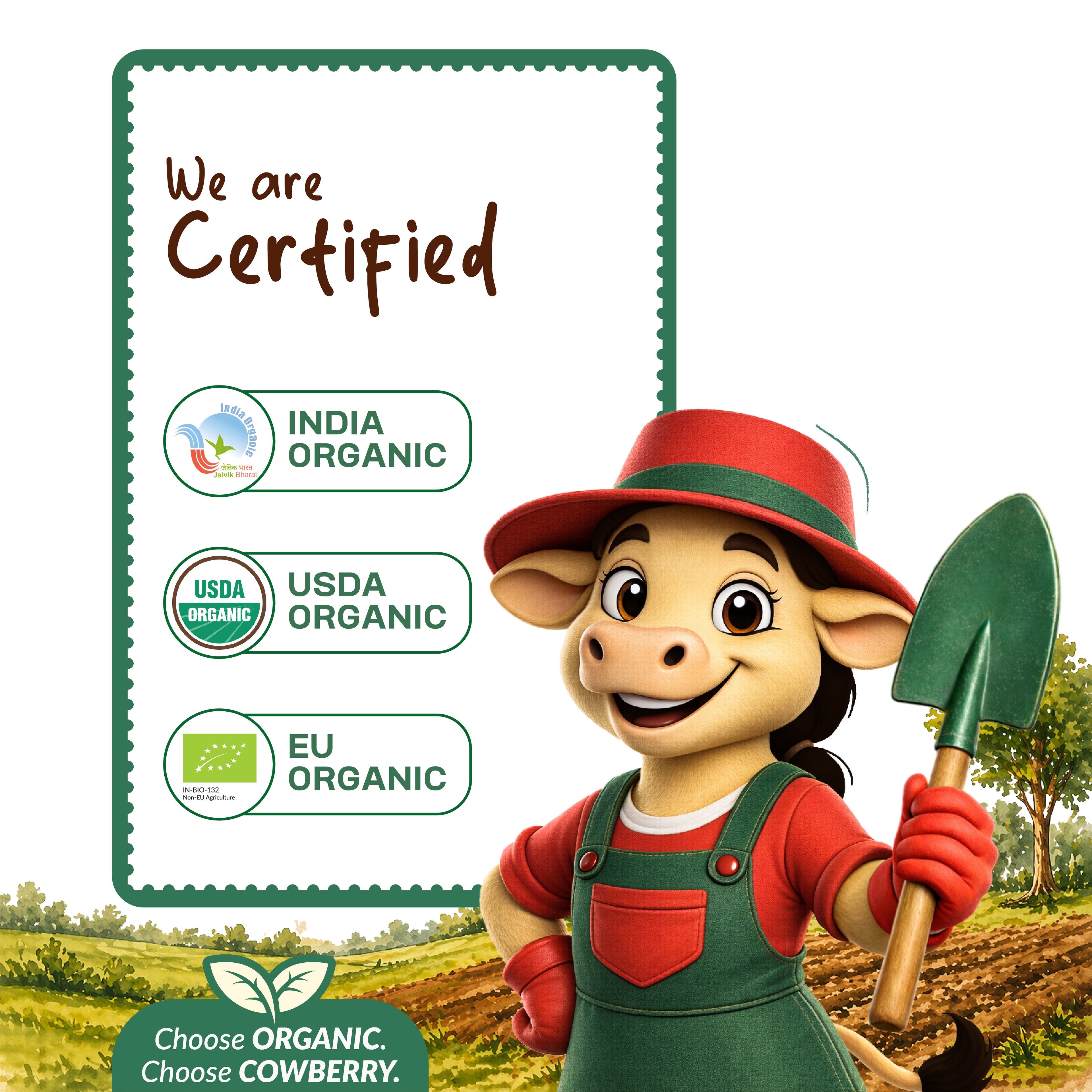 Organic Maize