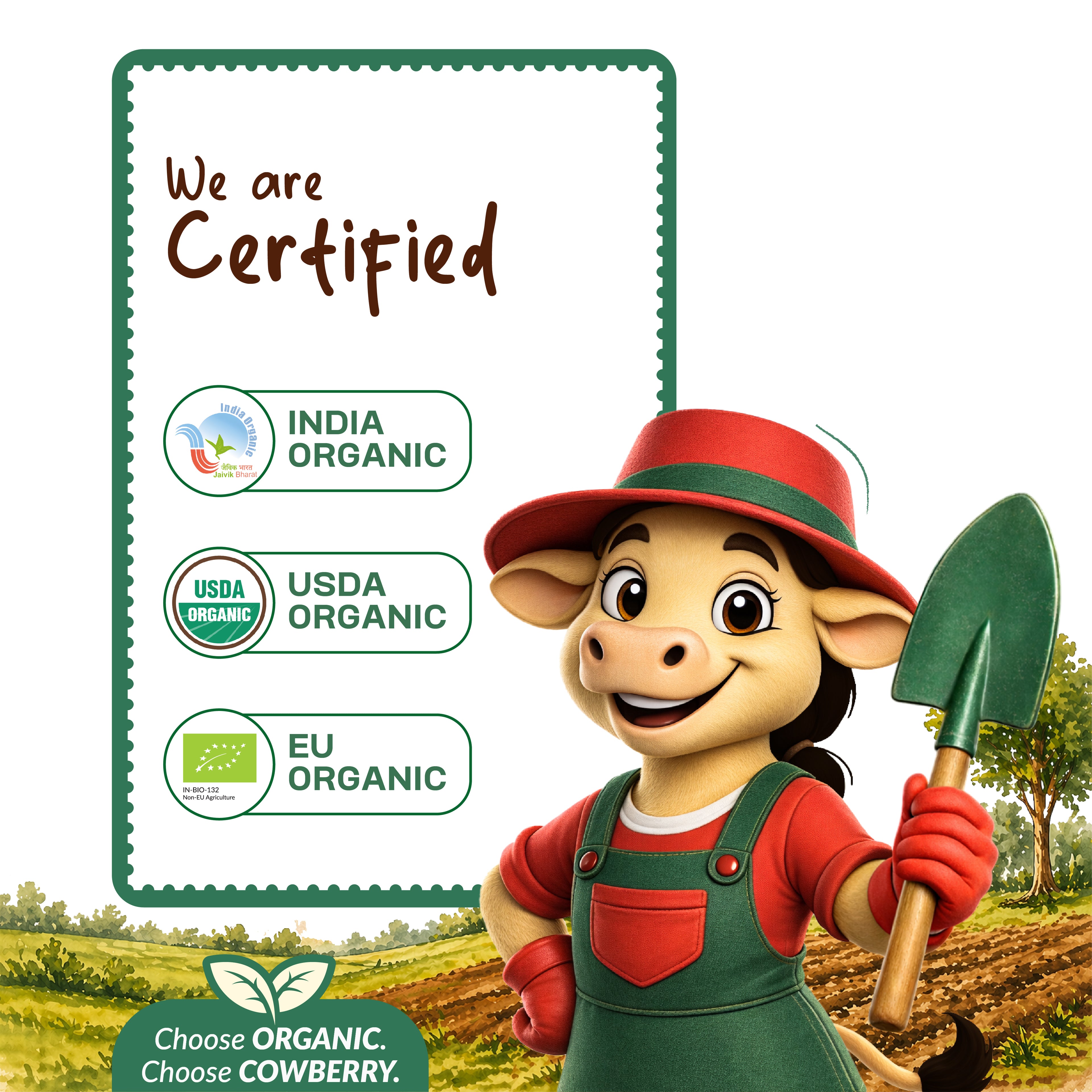 Organic Jaggery Powder