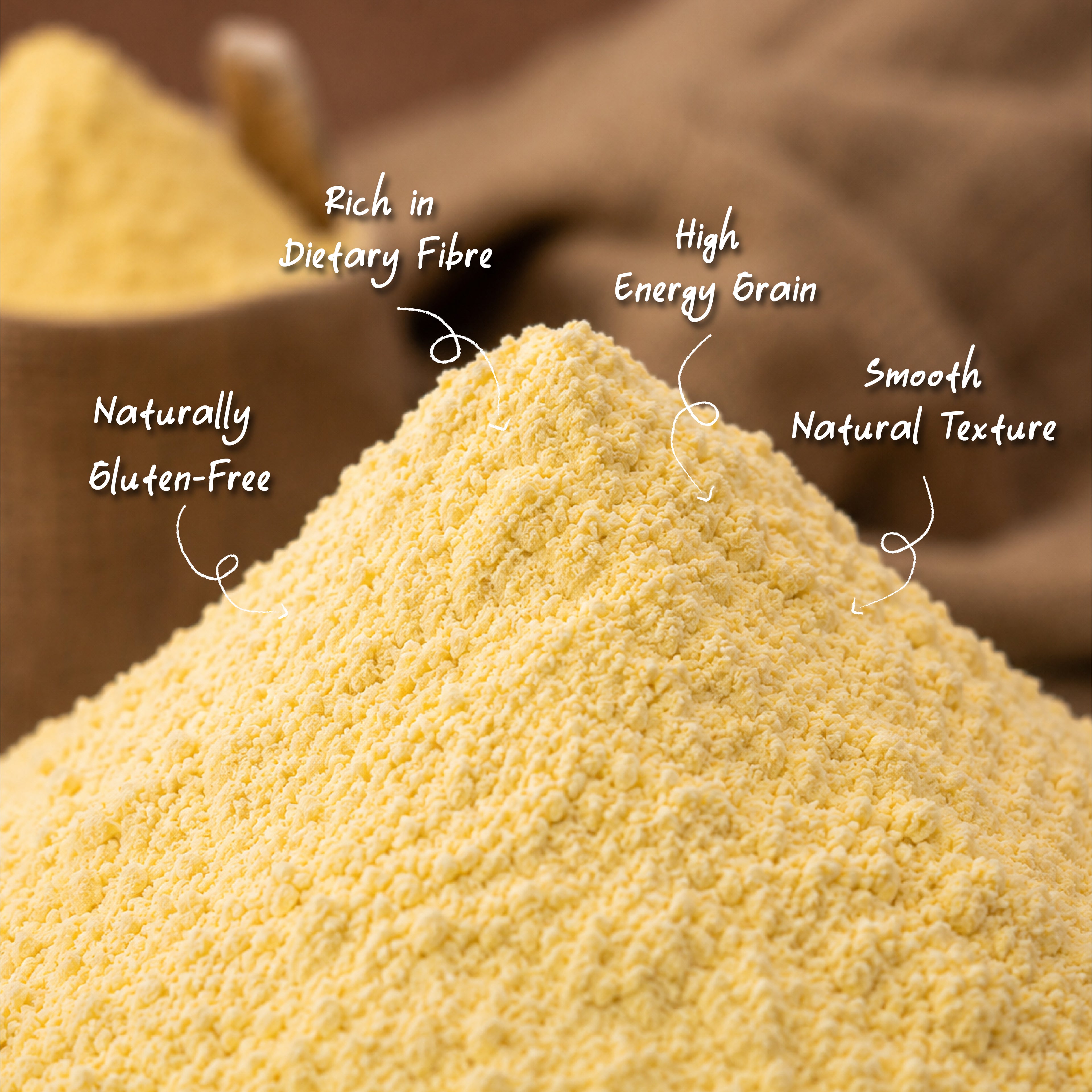 Organic Maize (Makka) Flour