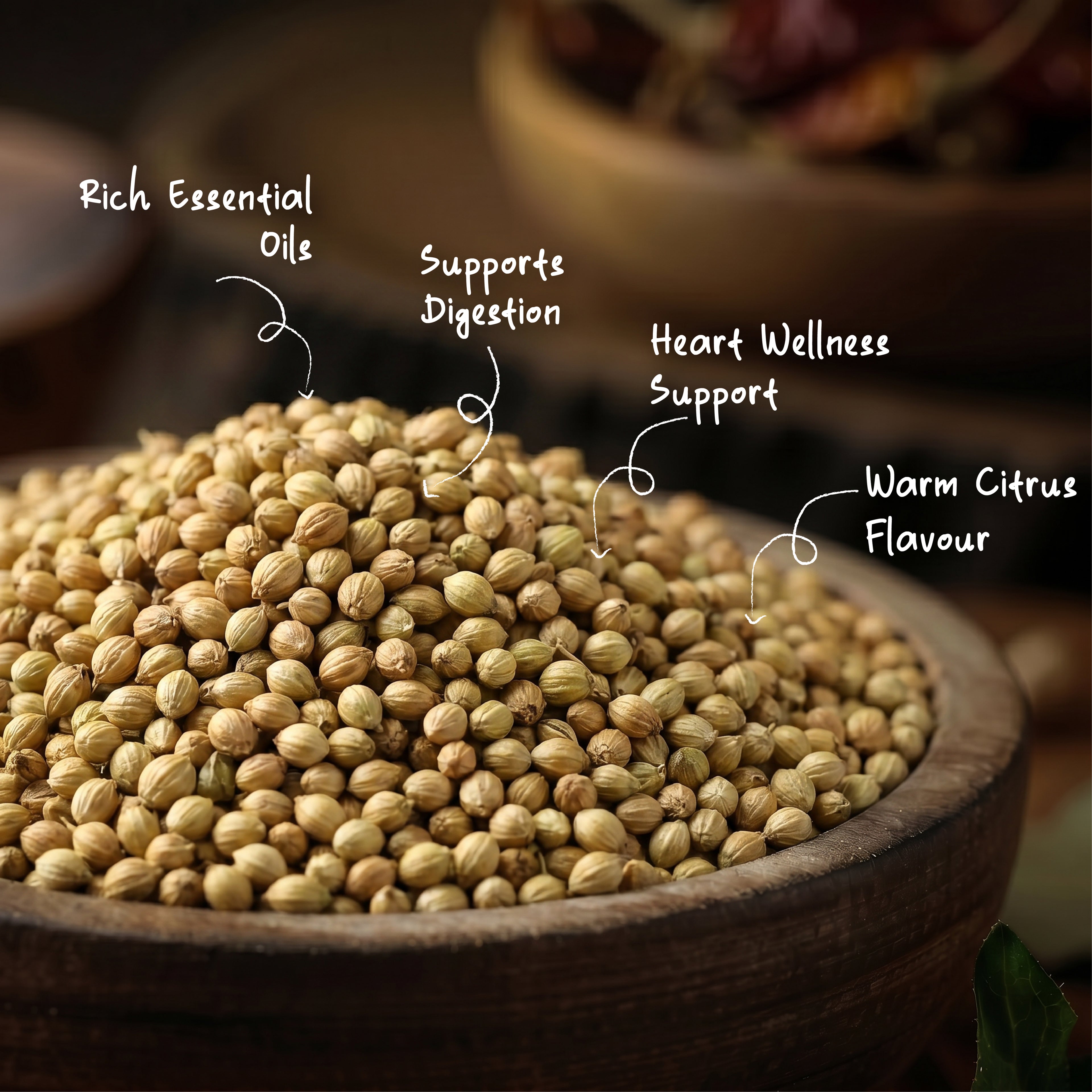 Organic Coriander Seeds