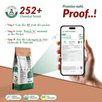 Organic White Sesame Seeds