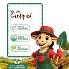 Organic Besan