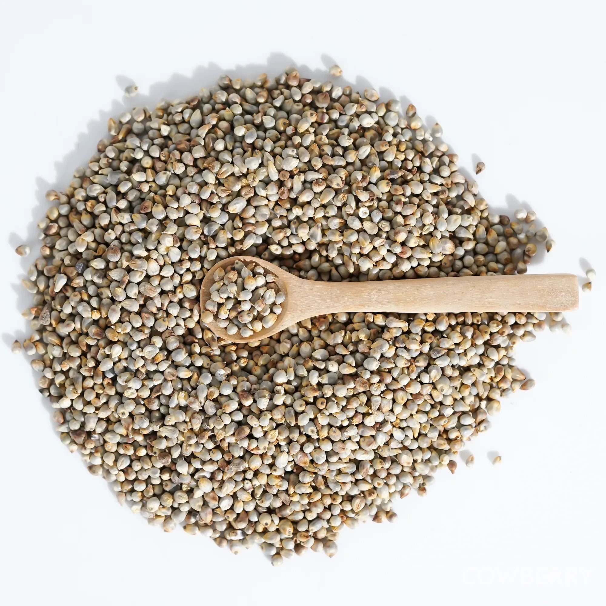 Organic Pearl Millet/Bajra