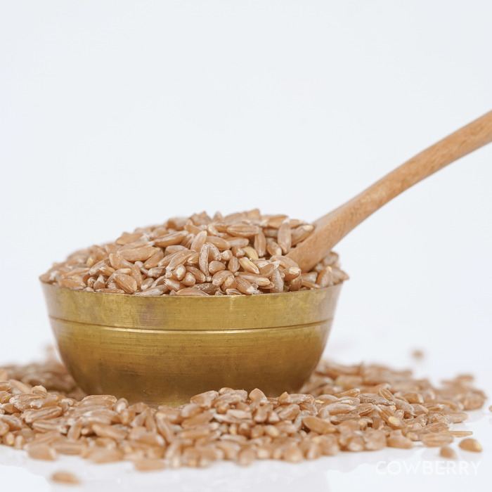 Organic Khapli Wheat