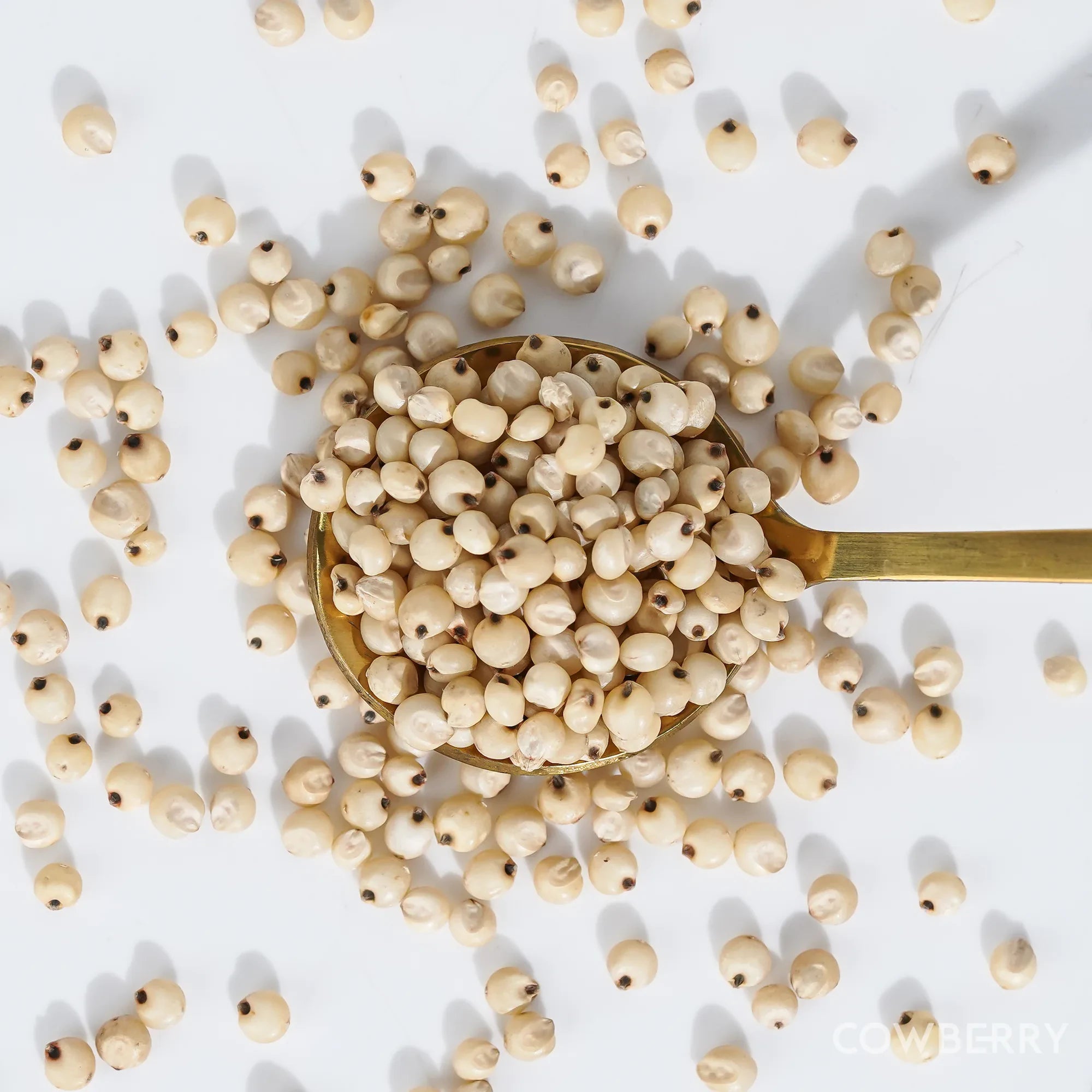 Organic Sorghum